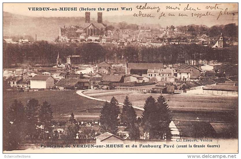 Verdun     55      Panorama Et Le Faubourg Pavé - Verdun