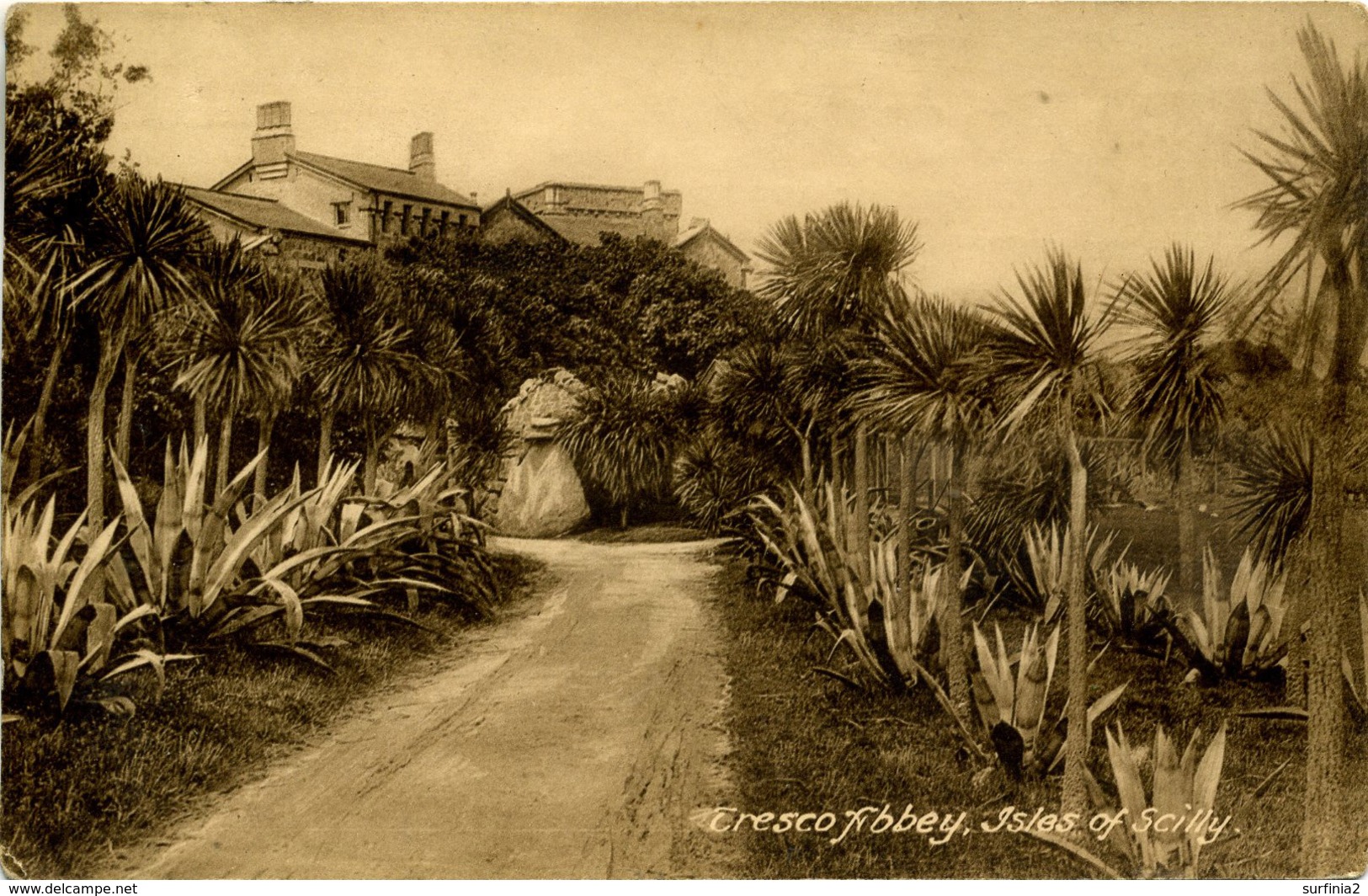 SCILLY ISLES -  TRESCO - ABBEY Sc80 - Scilly Isles