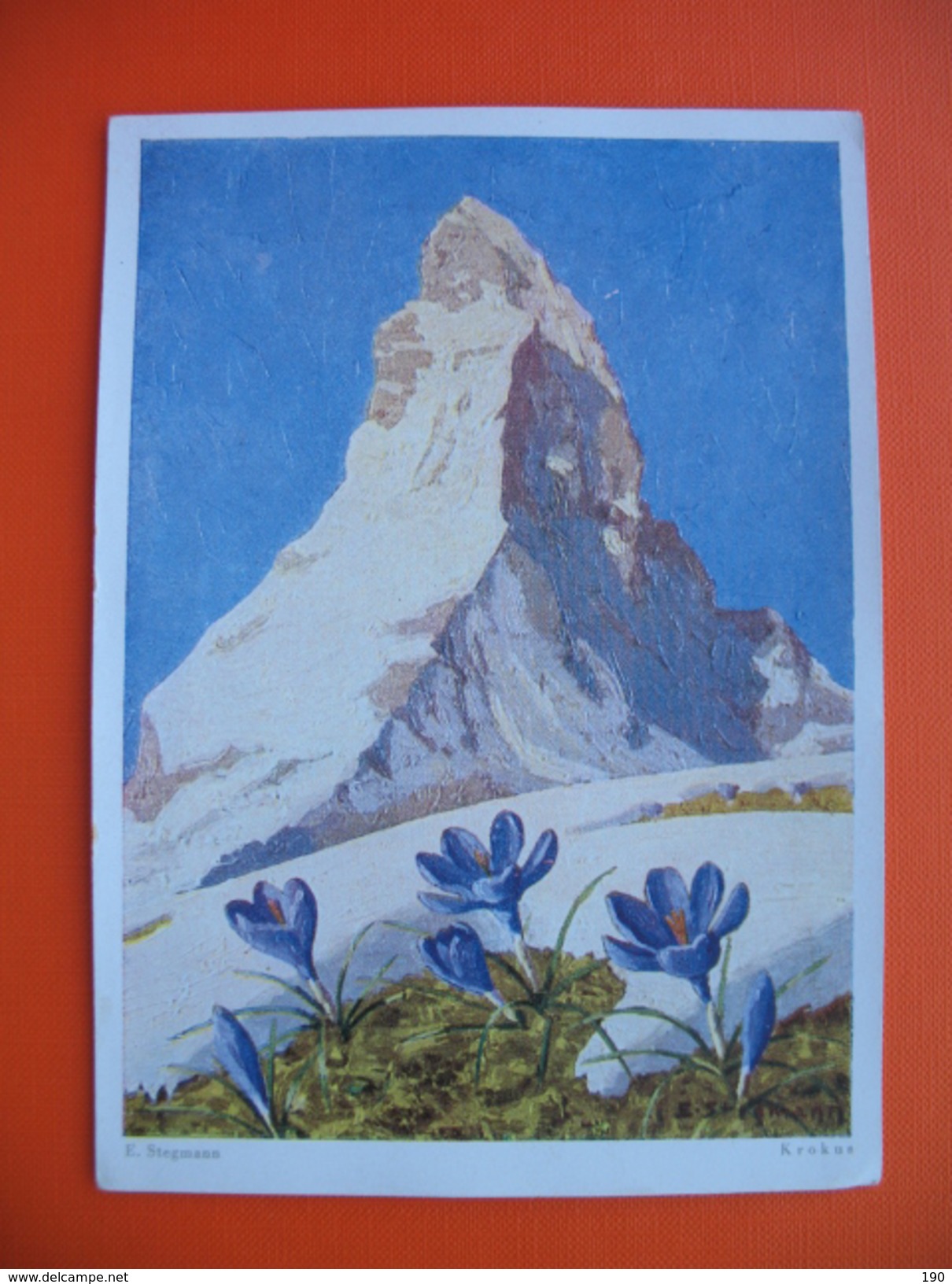 ERICH STEGMANN:Krokus Am Matterhorn - Steg