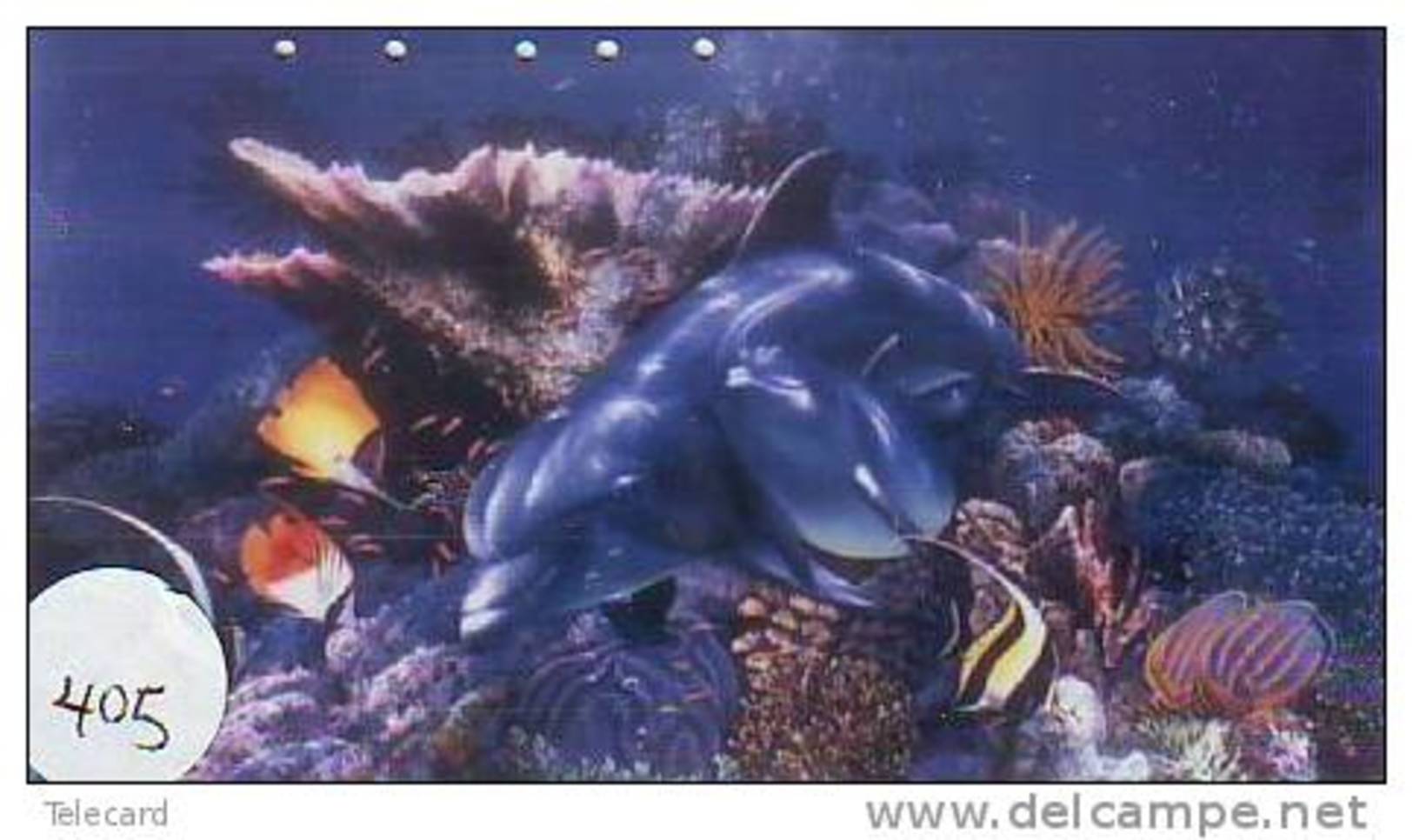 DOLPHIN DAUPHIN Dolfijn DELPHIN Tier Animal (405) - Delfini