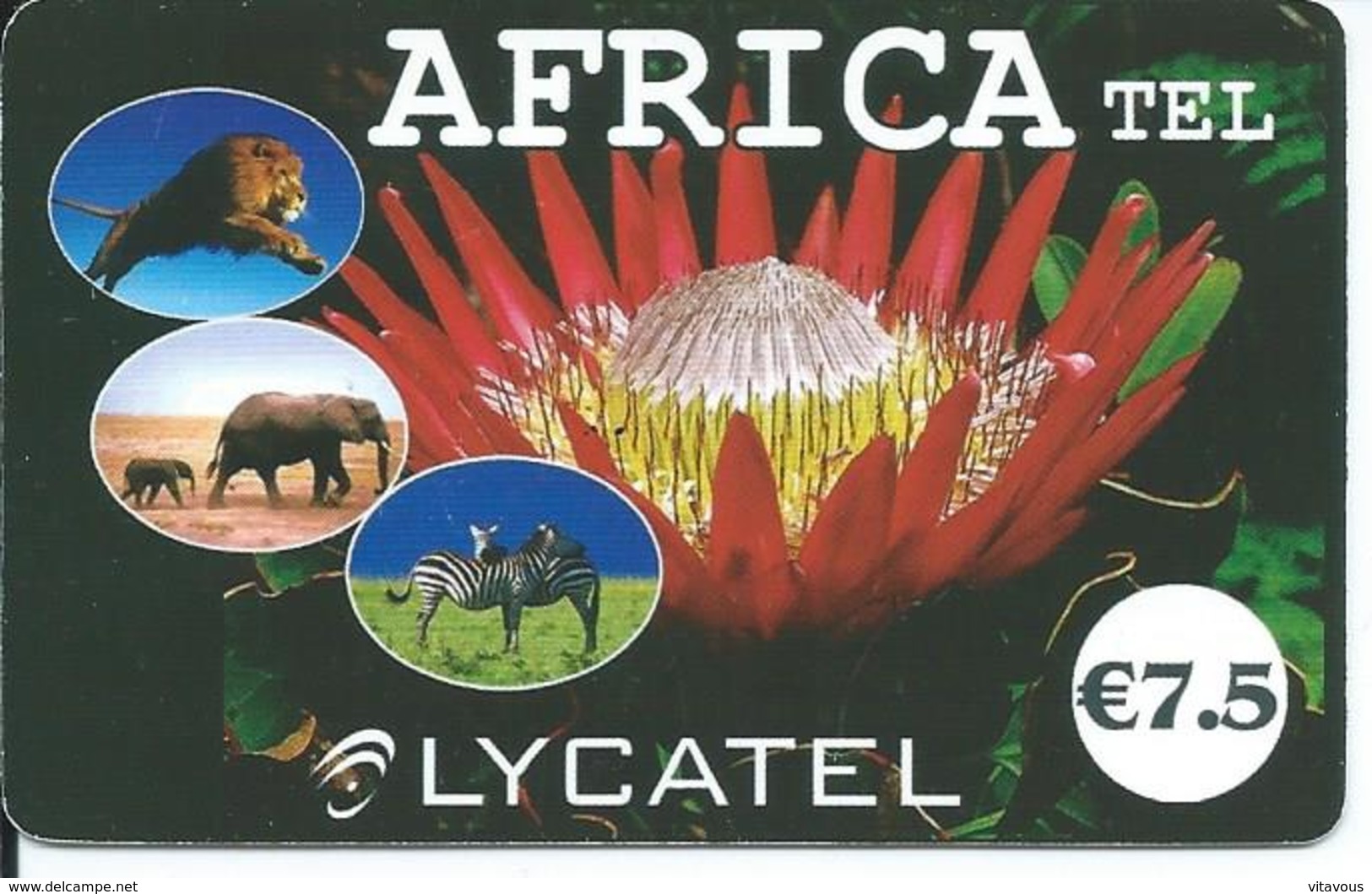 éléphant Elephant Zèbre Lion Animal Carte Prépayée Africa Card  Karte (767) - Andere - Afrika