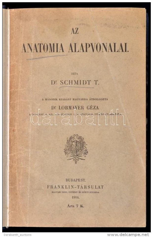 Dr. Schmidt T.: Az Anatomia Alapvonalai. Bp., 1904, Franklin-T&aacute;rsulat. &Aacute;tk&ouml;t&ouml;tt... - Sin Clasificación