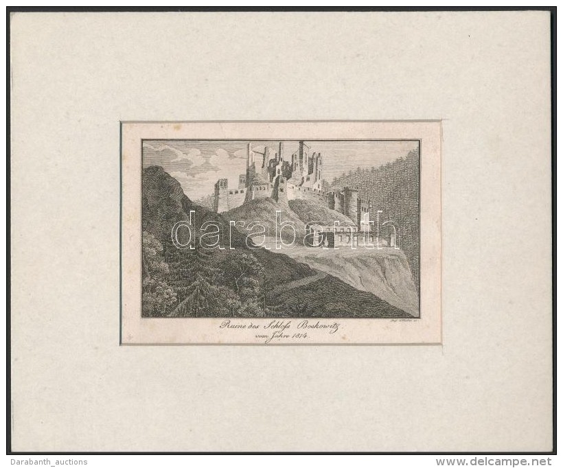 Cca 1860 Leopold M&uuml;ller(1834-1882): Ruine Des Schloss Boskovitz Vom Jahre 1814, Metszet, Jelzett A Metszeten,... - Estampas & Grabados