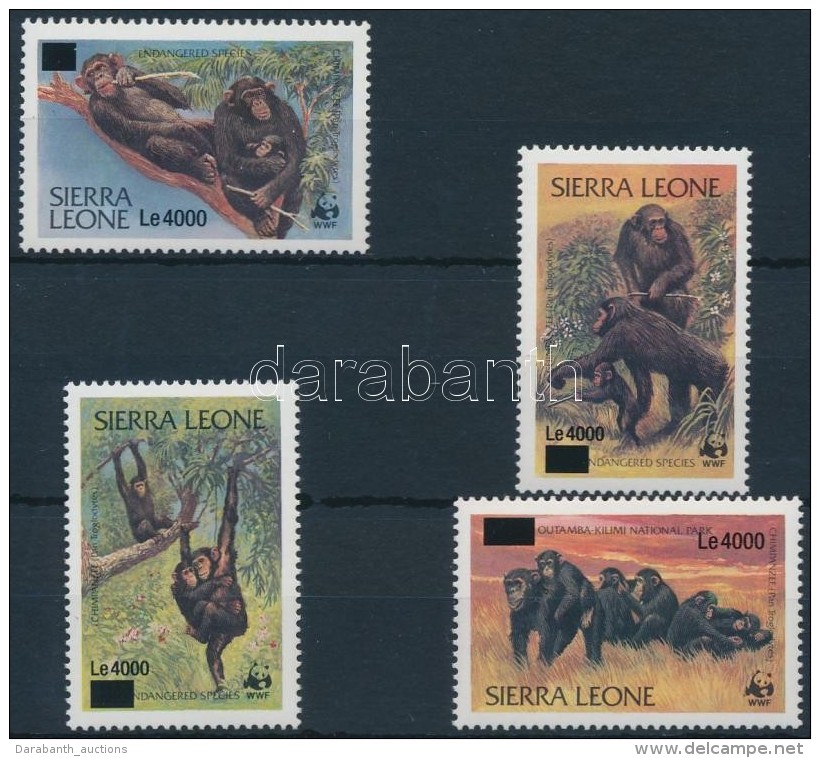 ** 2008 WWF: Csimp&aacute;nz Fel&uuml;lnyomott Sor Mi 5067-5070 - Altri & Non Classificati