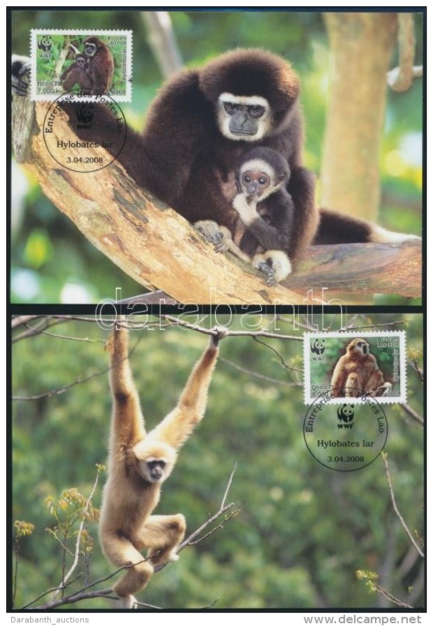 2008 WWF: Majmok Sor 4 Db CM-en Mi 2062-2065 - Altri & Non Classificati