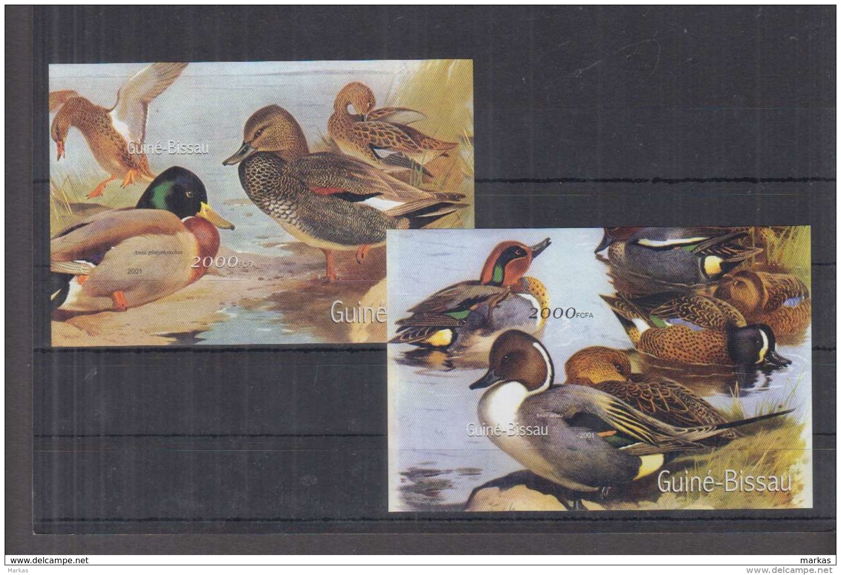 H41. Guinea-Bissau - MNH - Birds - Ducks - 2001 - Imperf - Entenvögel