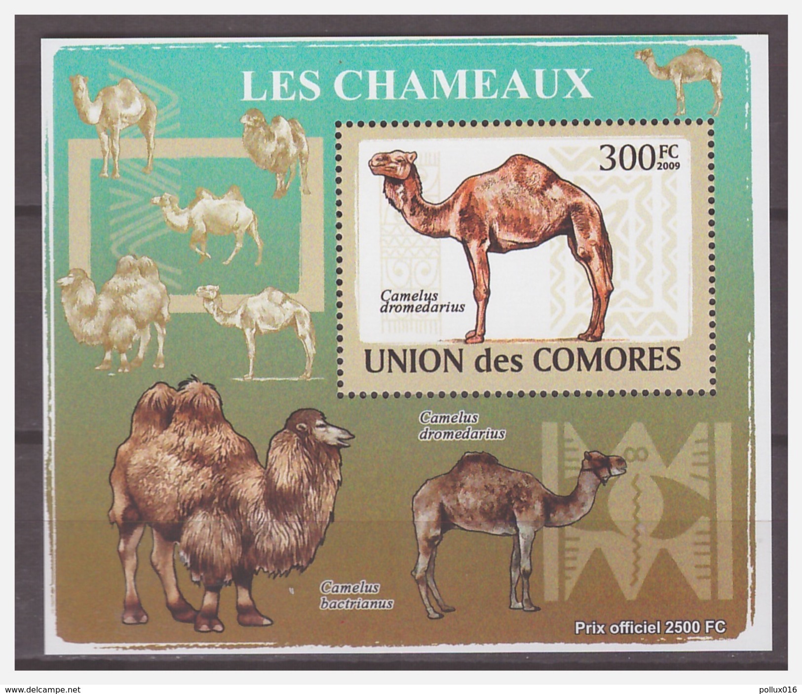 0192 Comores 2009 Kameel Camel S/S MNH - Autres & Non Classés