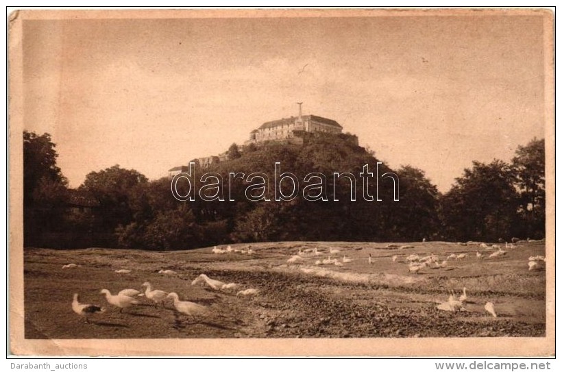 ** T3 Munk&aacute;cs, Mukacheve, Mukacevo; V&aacute;rpal&aacute;nka, V&aacute;r, Lib&aacute;k / Palanky Castle,... - Non Classificati