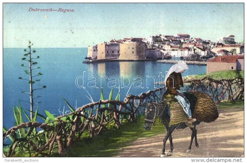 T2/T3 Dubrovnik, Ragusa; General View, Donkey (EK) - Non Classificati