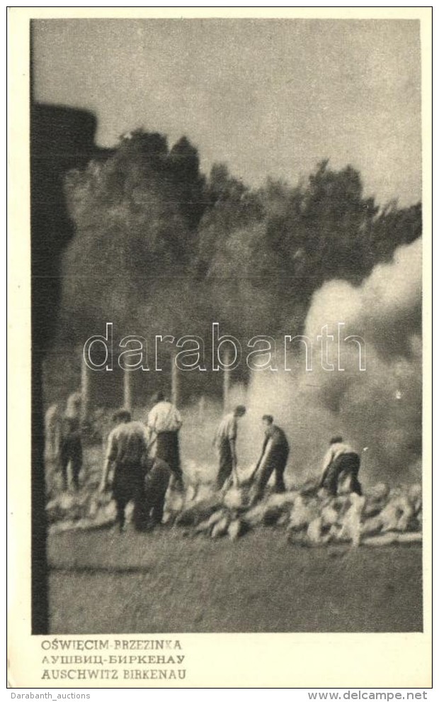 ** T1 Auschwitz-Birkenau, Oswiecim; Cremation Of Corpses On Pyres - Non Classificati