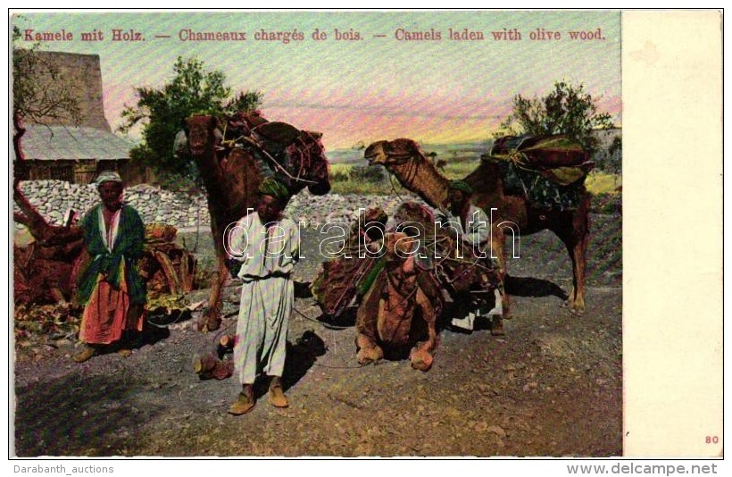 ** T2/T3 Kamele Mit Holz / Chameaux Charg&eacute;s De Bois / Teve F&aacute;val / Camels Laden With Olive Wood,... - Unclassified