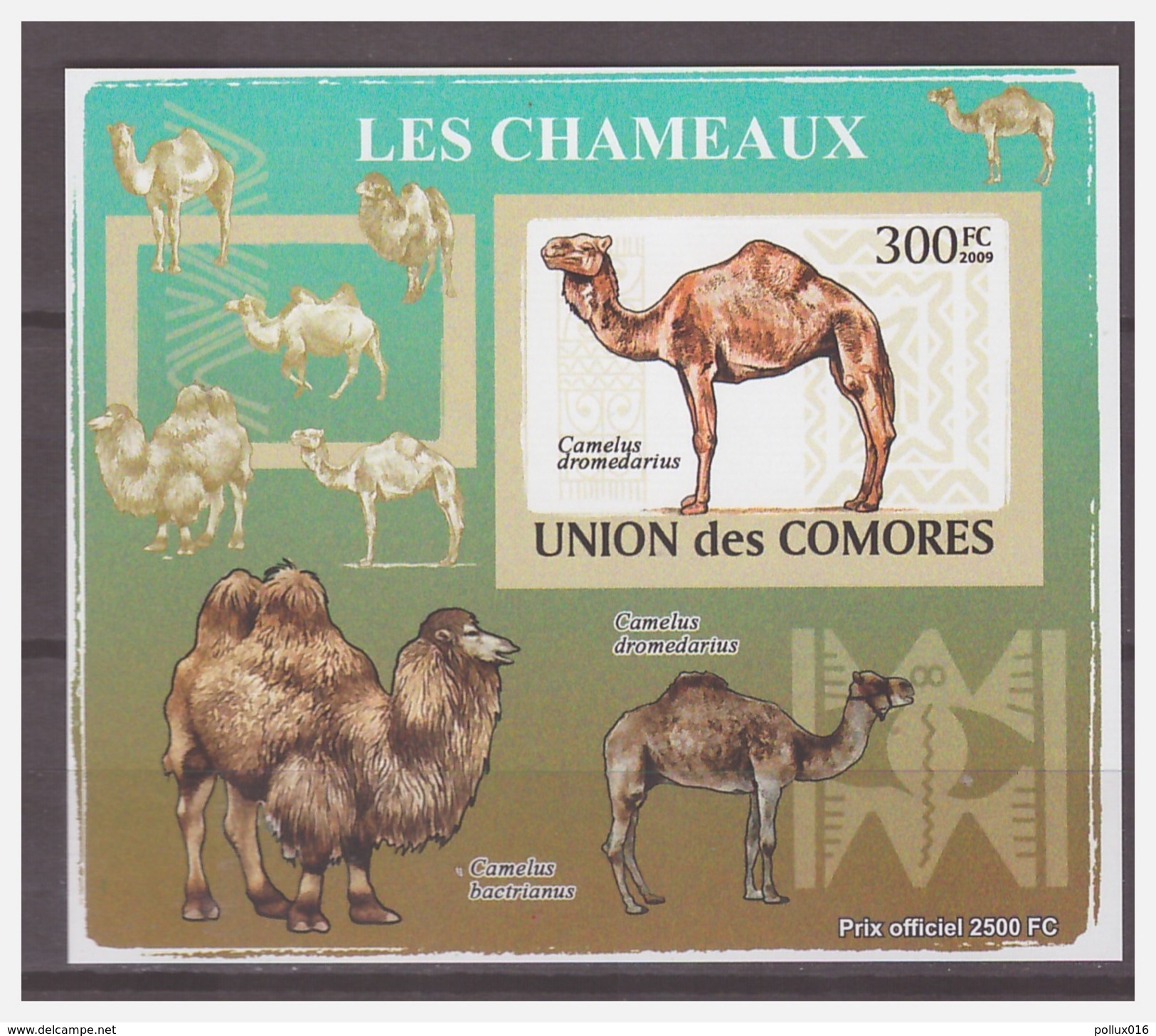 0195 Comores 2009 Kameel Camel S/S MNH Imperf - Autres & Non Classés