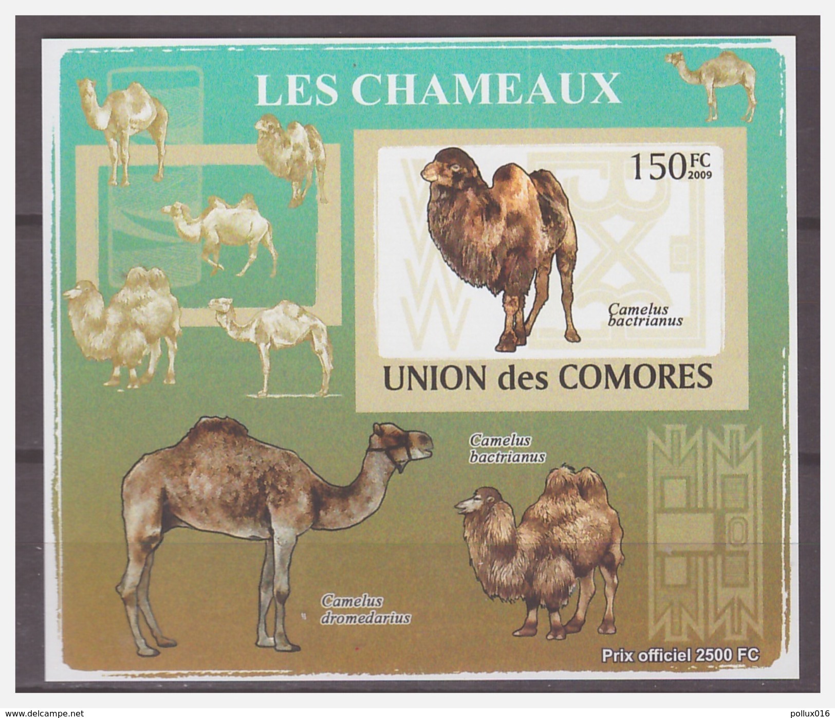 197 Comores 2009 Kameel Camel S/S MNH Imperf - Sonstige & Ohne Zuordnung