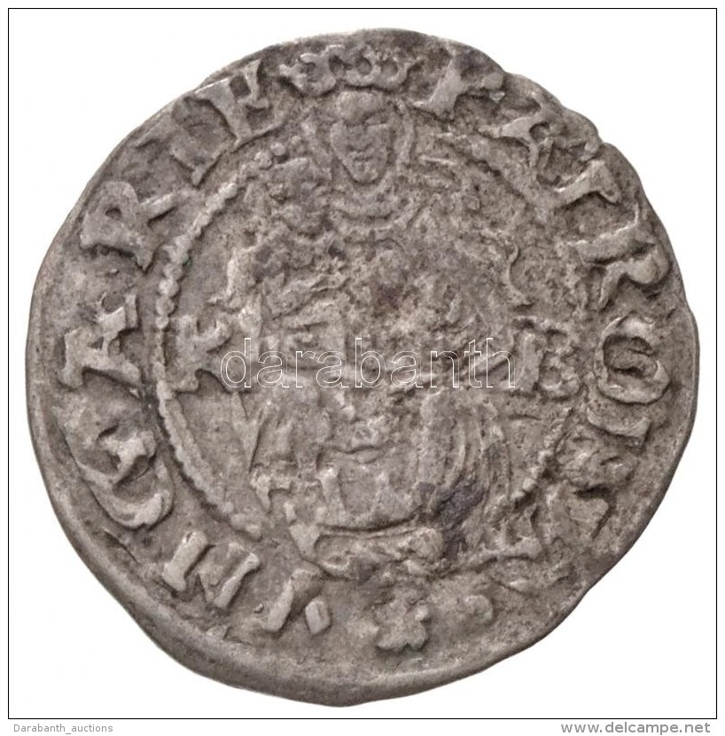 1556K-B Den&aacute;r Ag 'I. Ferdin&aacute;nd' ElÅ‘lapi Duplaveret (0,53g) T:2
Husz&aacute;r 935.,Unger II.: 745.a. - Non Classificati