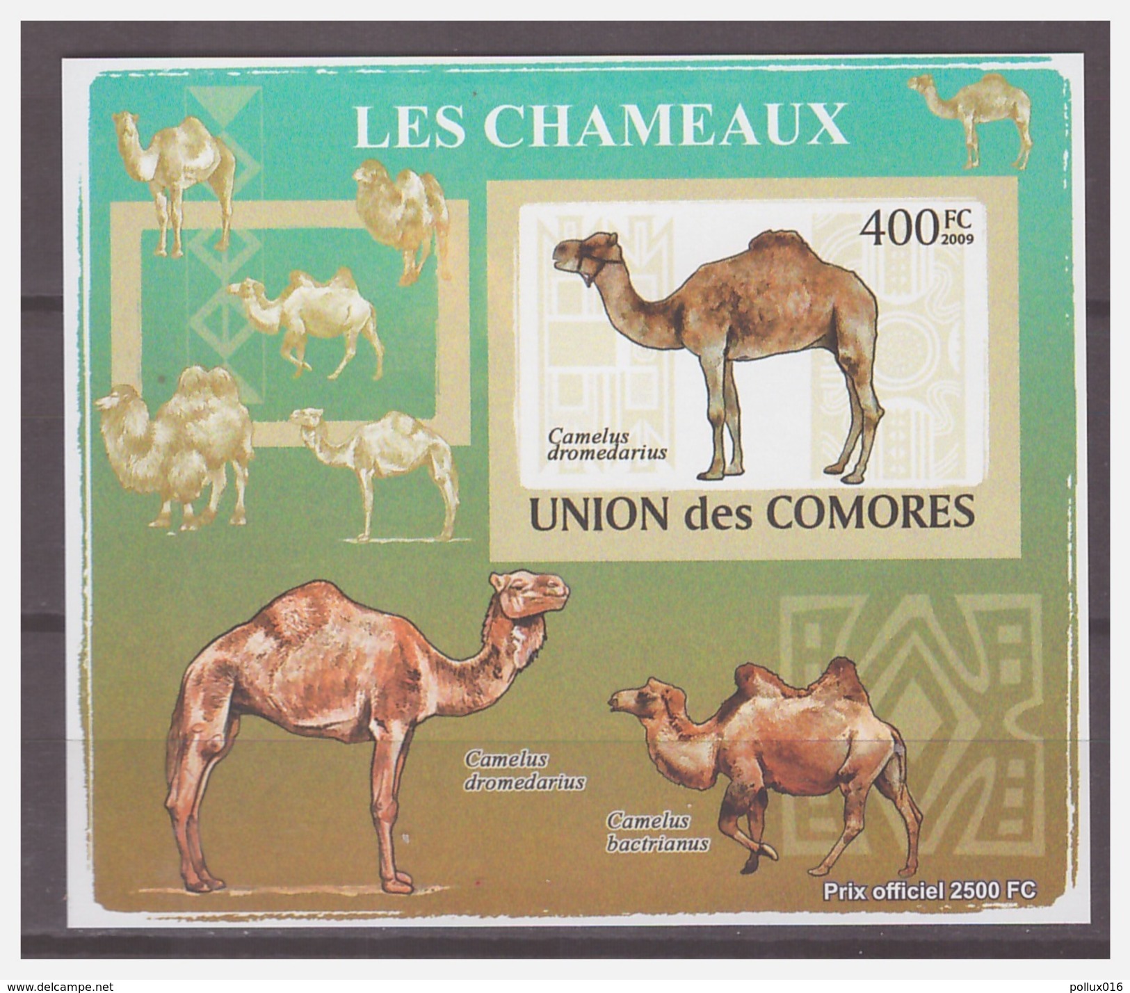 0200 Comores 2009 Kameel Camel S/S MNH Imperf - Autres & Non Classés