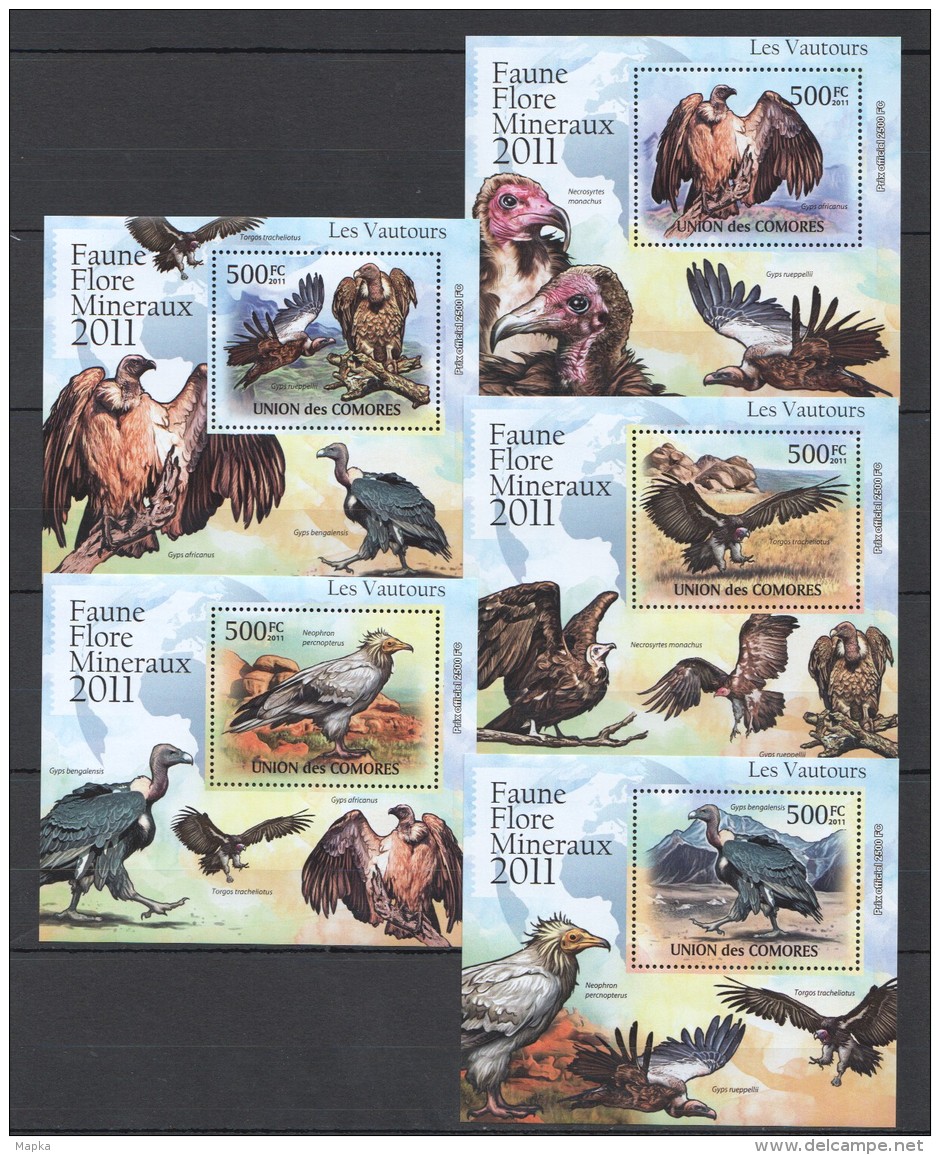 WW22 2011 UNION DES COMORES FAUNE FLORE MINERAUX BIRDS LES VAUTOURS 5LUX BL MNH - Adler & Greifvögel