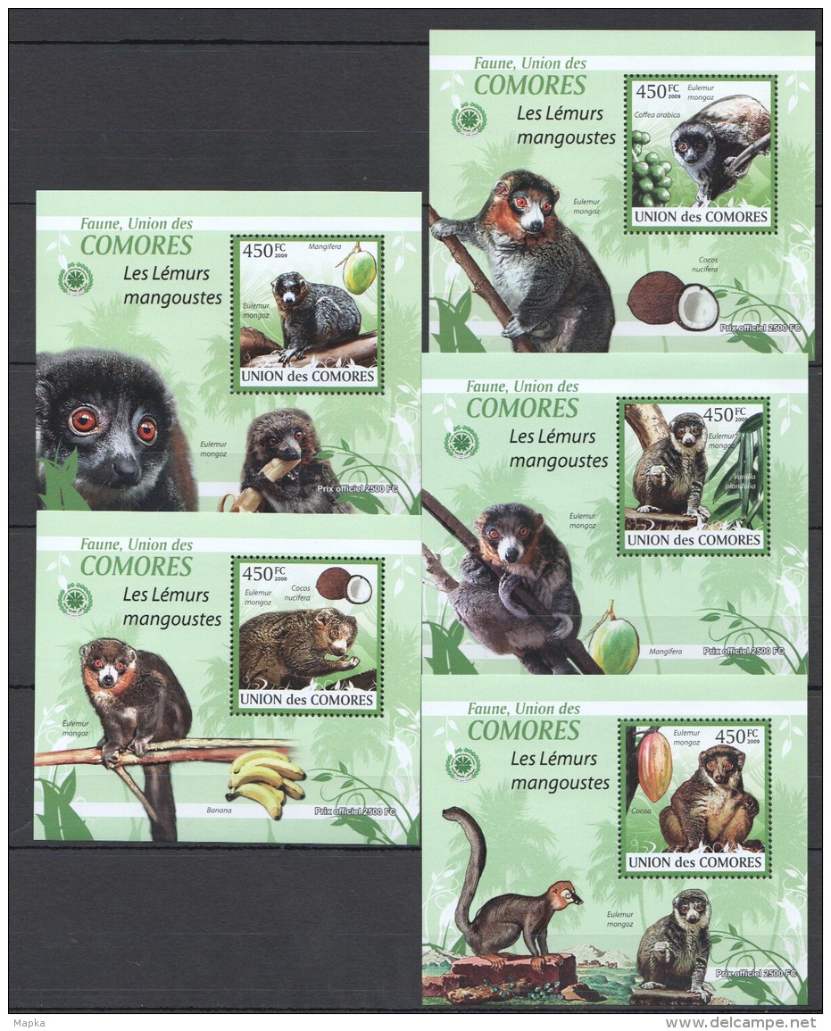 WW25 2009 UNION DES COMORES FAUNA ANIMALS LES LEMURS MANGOUSTES 5LUX BL MNH - Sonstige & Ohne Zuordnung