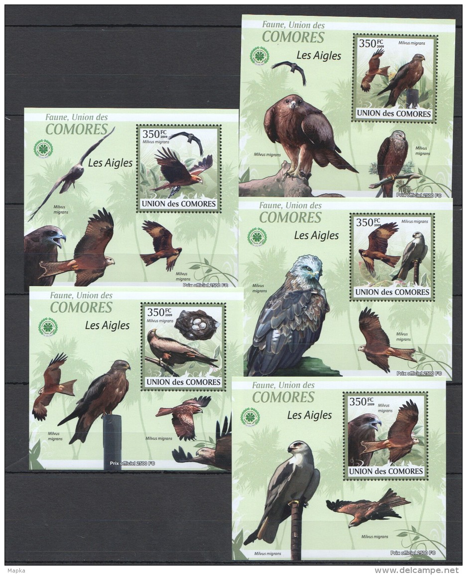 WW46 2009 UNION DES COMORES FAUNA BIRDS LES AIGLES 5LUX BL MNH - Adler & Greifvögel