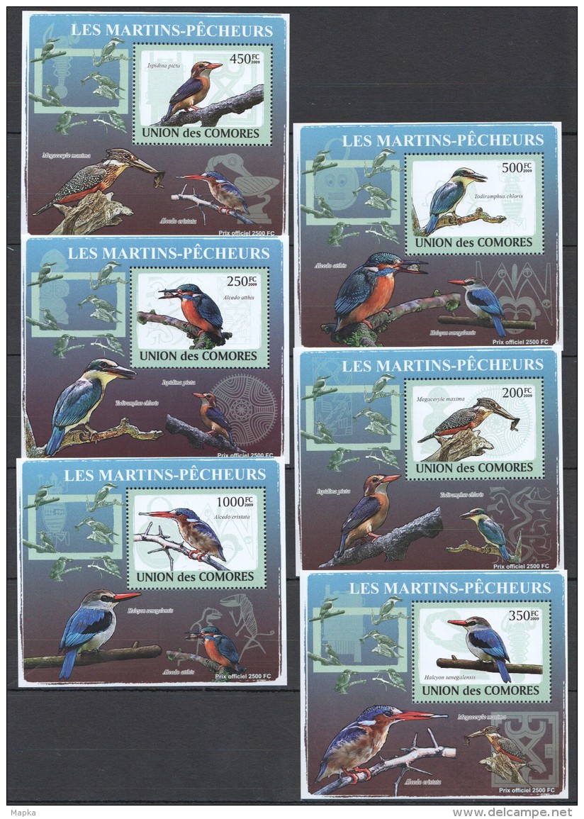 WW76 2009 UNION DES COMORES FAUNA BIRDS LES MARTINS-PECHEUR 6LUX BL MNH - Sperlingsvögel & Singvögel