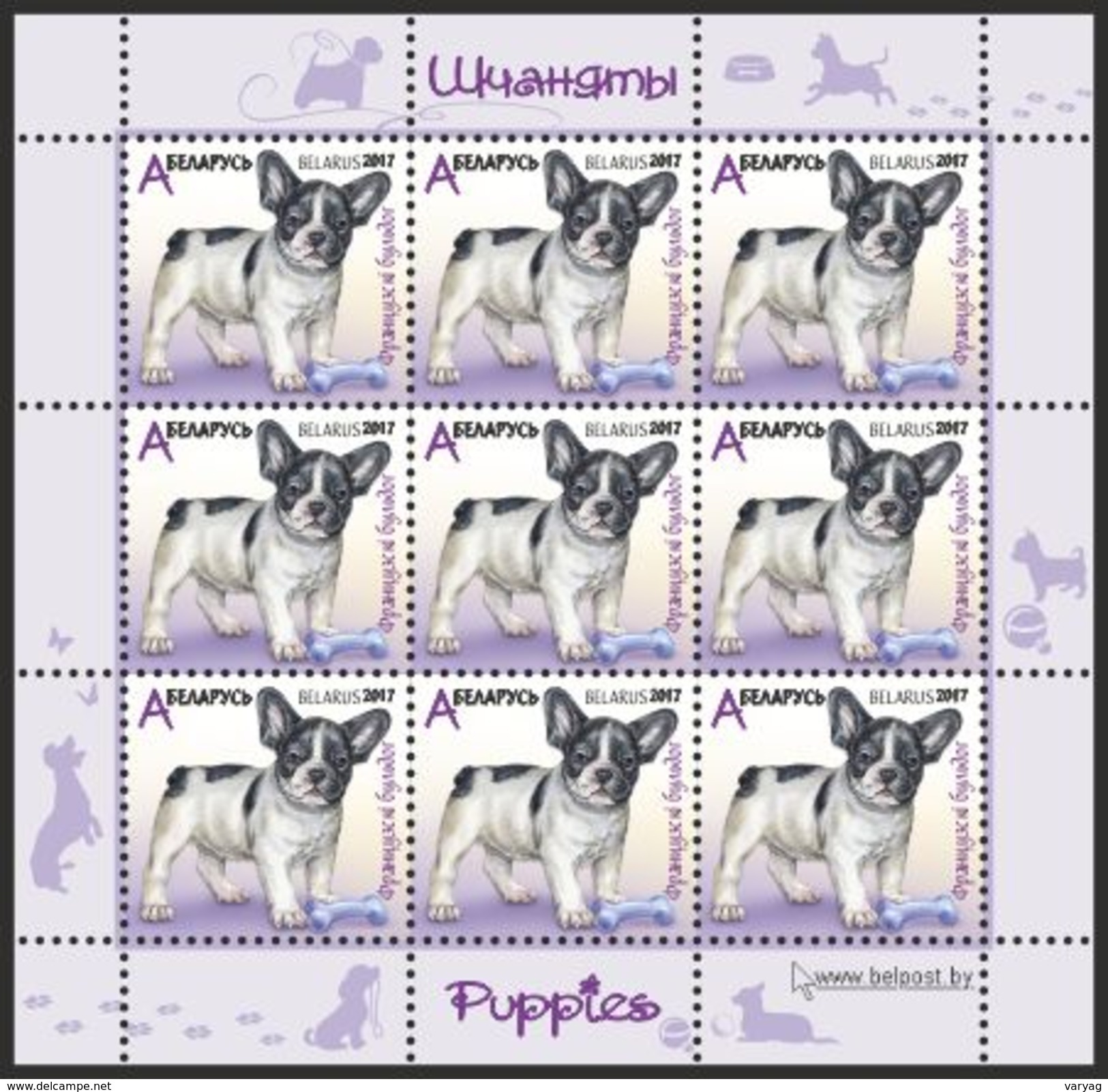 TH Belarus 2017 Puppies Puppy Dogs Dog Fauna 4 Shtl Of 9v MNH - Sonstige & Ohne Zuordnung