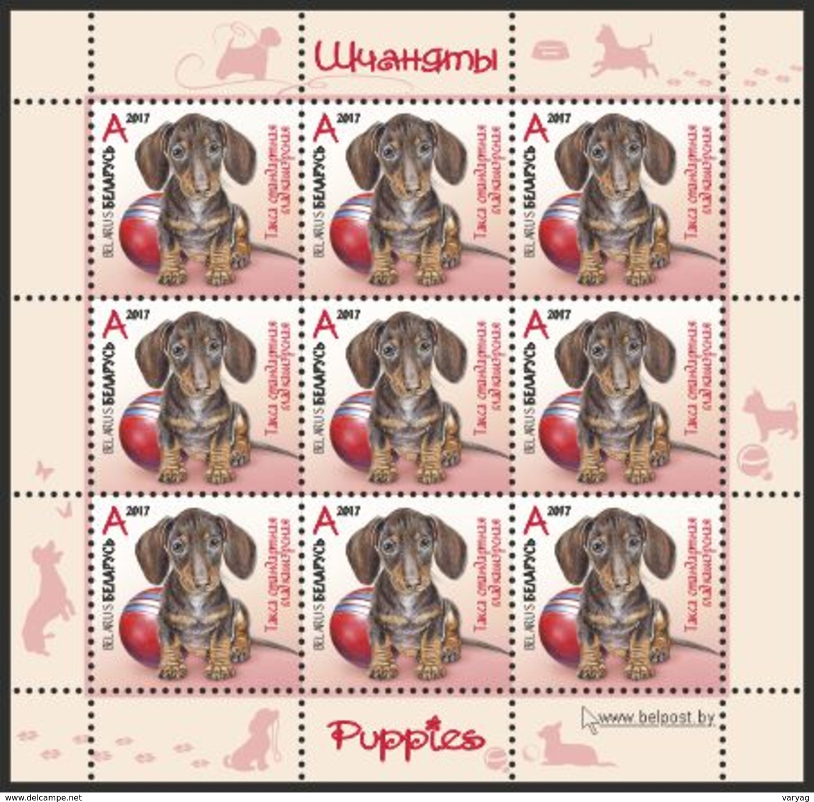 TH Belarus 2017 Puppies Puppy Dogs Dog Fauna 4 Shtl Of 9v MNH - Sonstige & Ohne Zuordnung