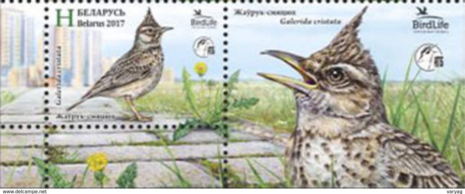 TH_ Belarus 2017 Bird Of The Year Crested Lark 1v + Label Zrf MNH - Sperlingsvögel & Singvögel