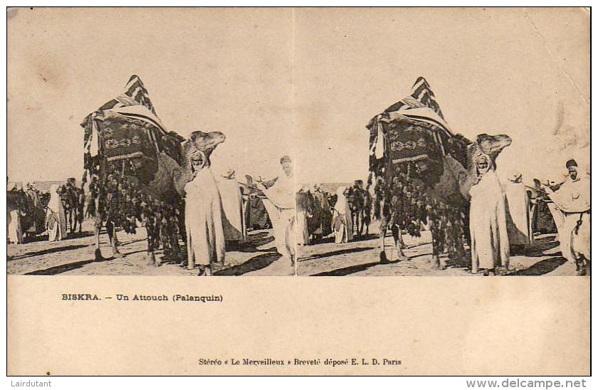 ALGERIE  BISKRA  Un Attouch ( Palanquin ) Carte Stereo ..... - Biskra