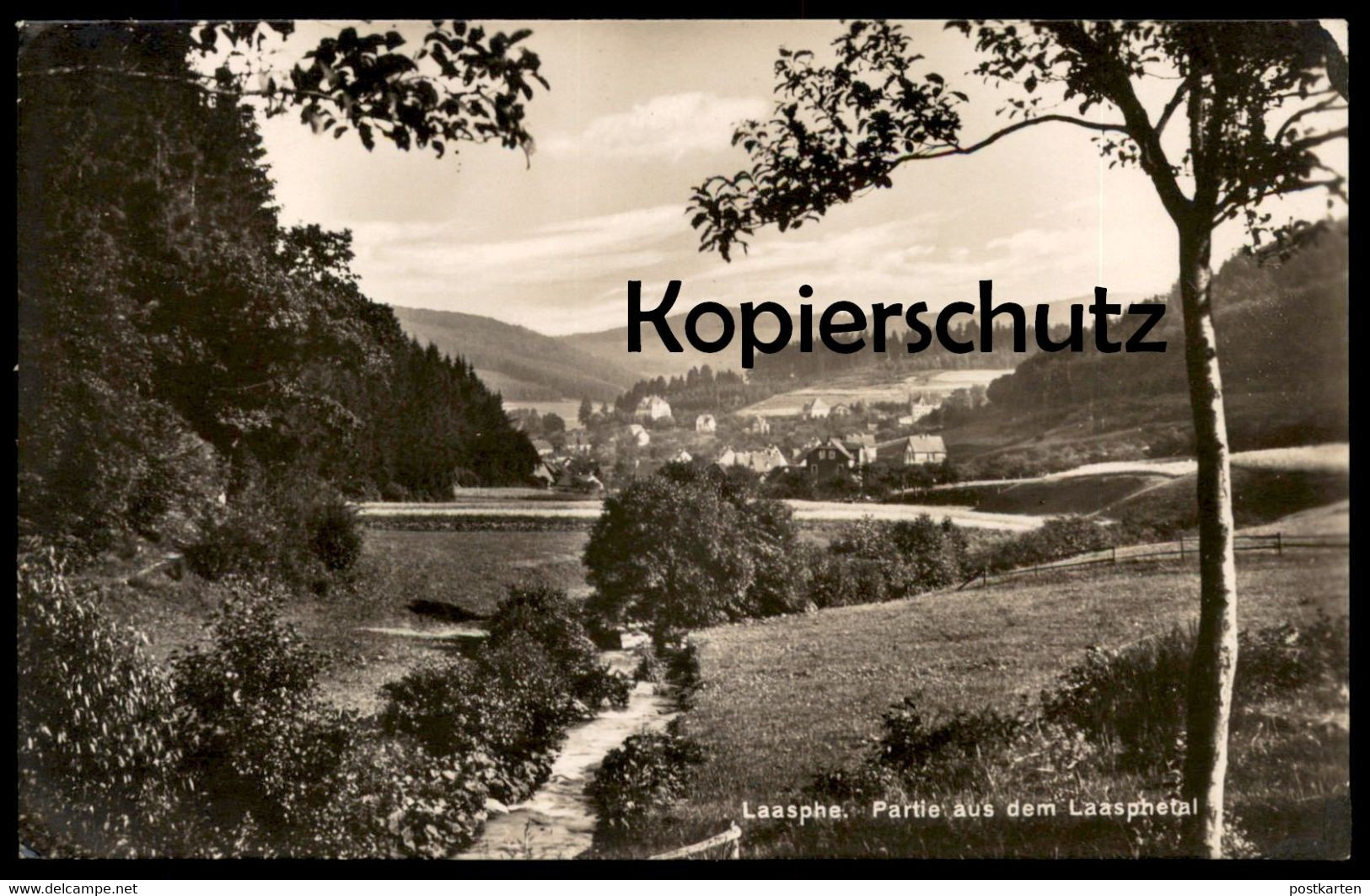 ALTE POSTKARTE LAASPHE PARTIE AUS DEM LAASPHETAL Bach Wiese Cpa Ansichtskarte Postcard AK - Bad Laasphe