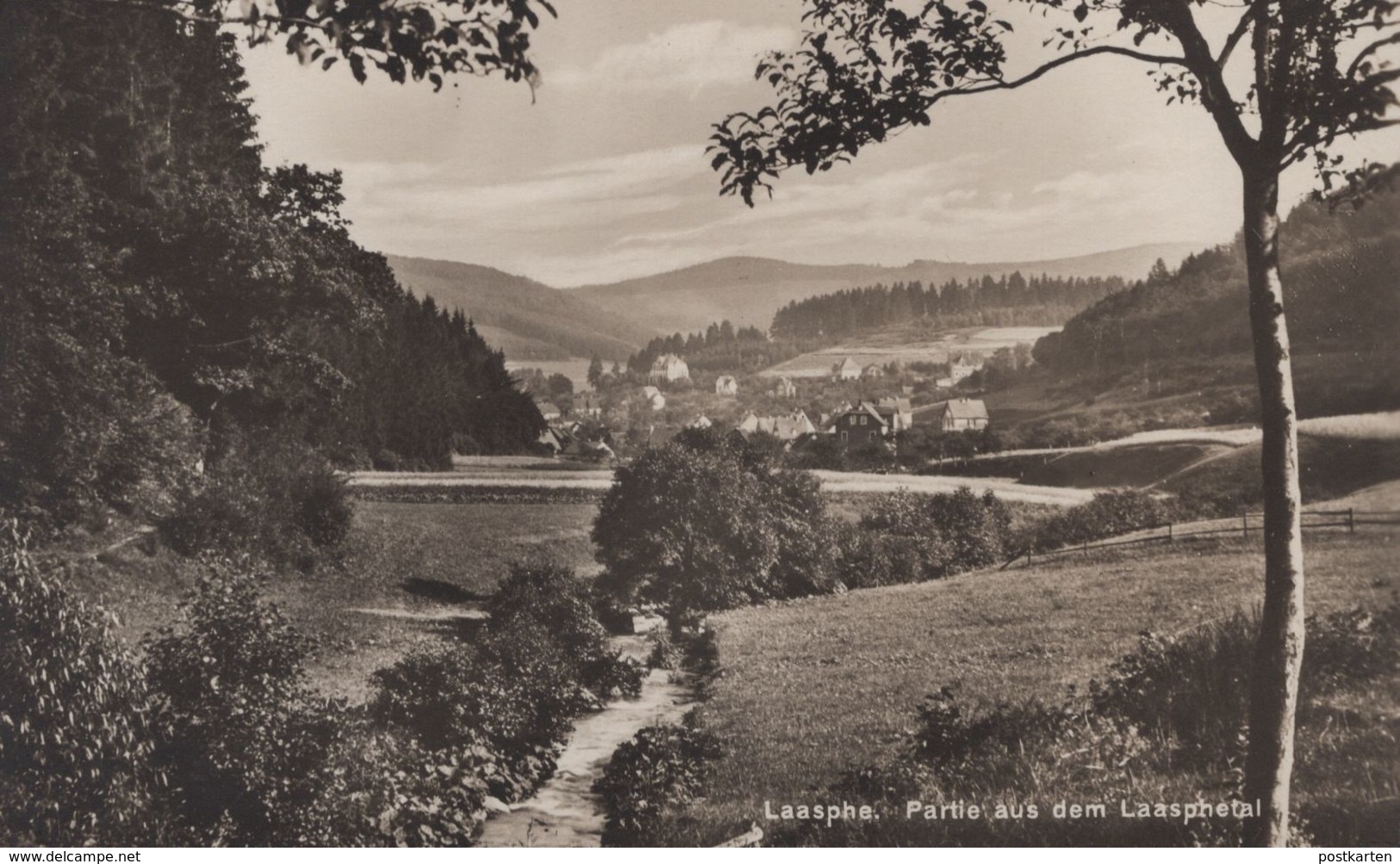 ALTE POSTKARTE LAASPHE PARTIE AUS DEM LAASPHETAL Bach Wiese Cpa Ansichtskarte Postcard AK - Bad Laasphe