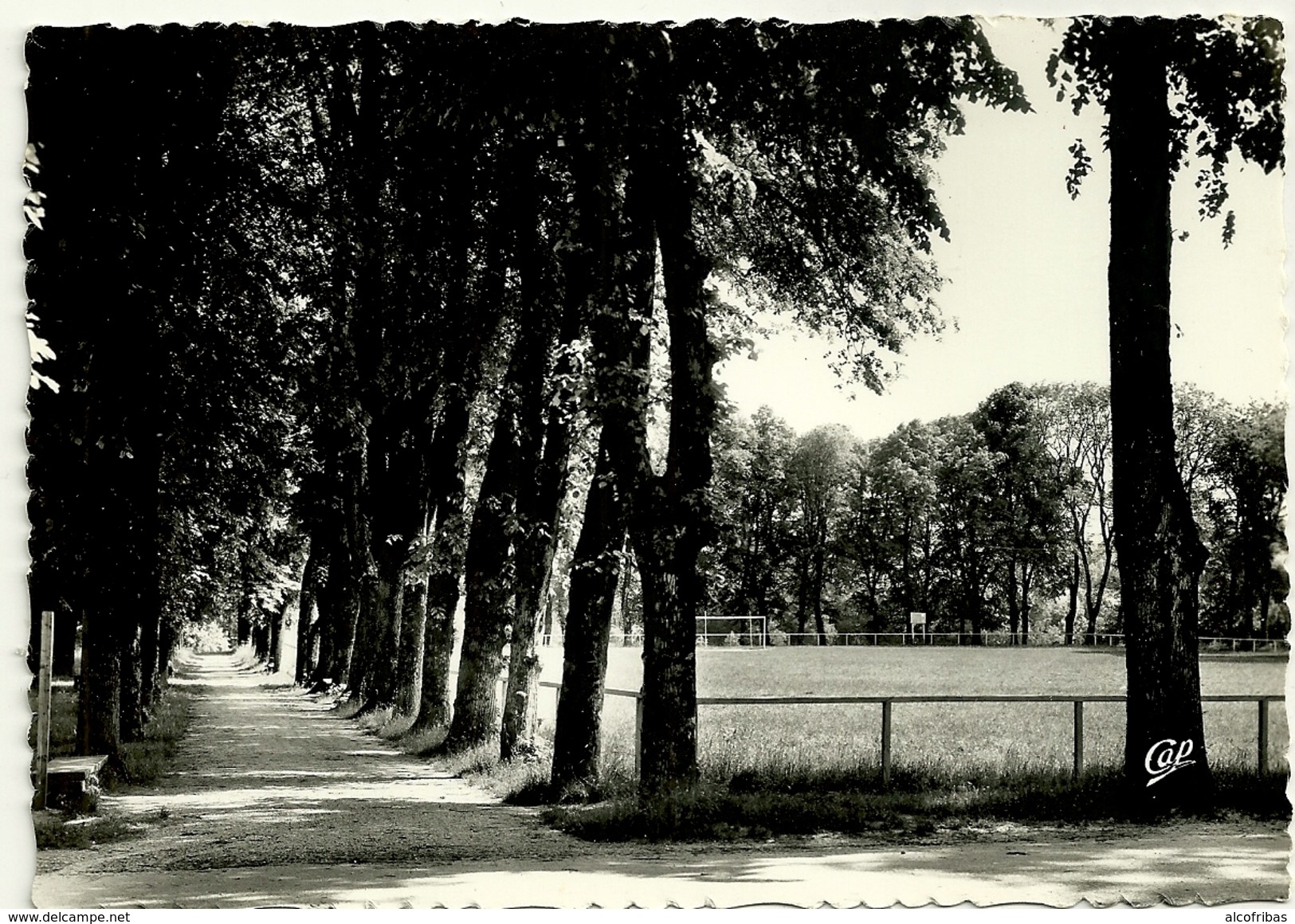 39 CPsm Photo Clairvaux Les Lacs 4 Cartes Parc Eglise Vue Generale Colonie St Ouen - Autres & Non Classés