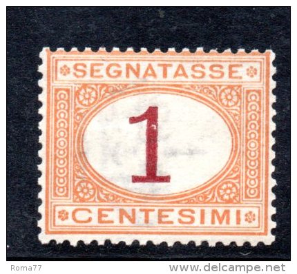 Y243 - REGNO 1870 , Segnatasse Il N. 3  *  Mint - Portomarken