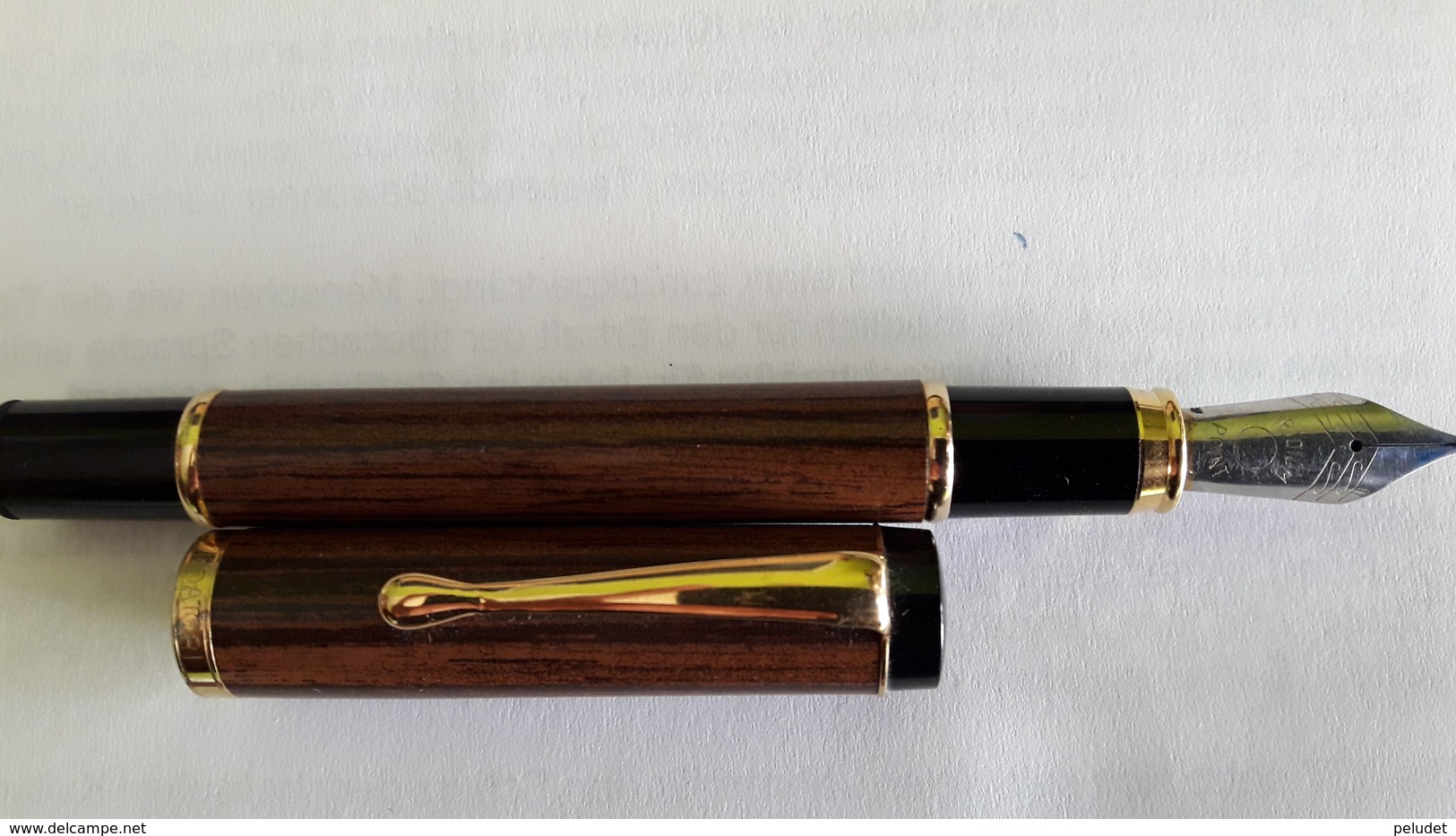 Estilogarfia Stylo à Encre Fountain Pen DATOR * - Lapiceros