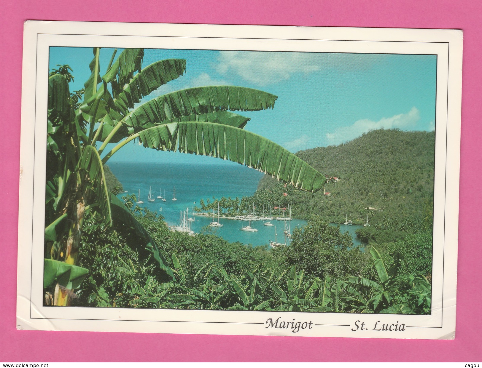 SAINT LUCIA -  MARIGOT St. LUCIA - Santa Lucía