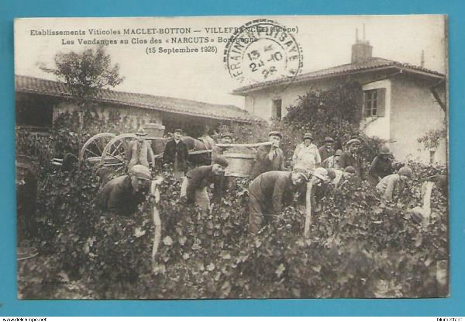 CPSM Vendanges Au Clos Des NARCUTS Ets Viticoles MACLET-BOTTON à VILLEFRANCHE-SUR-SAÔNE 69 - Villefranche-sur-Saone