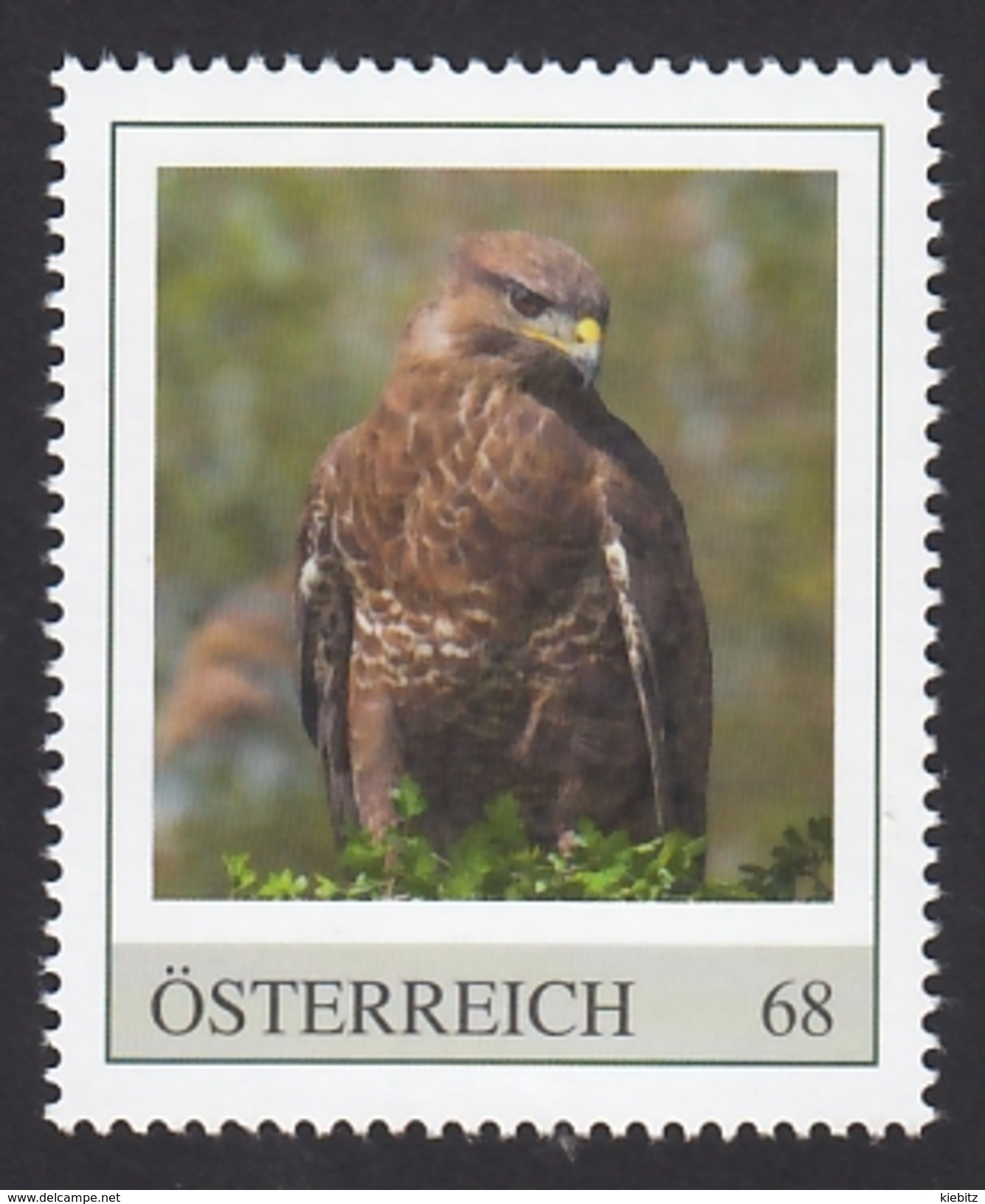 ÖSTERREICH 2015 ** Mäusebussard / Buteo Buteo - PM Personalized Stamp MNH - Aquile & Rapaci Diurni
