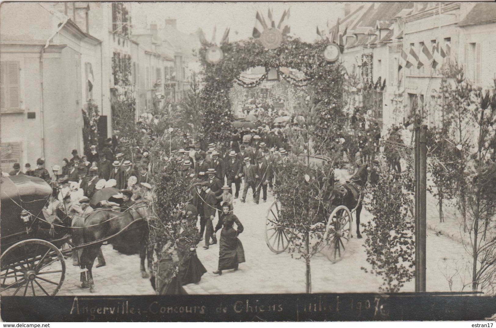 91 ANGERVILLE CARTE PHOTO CONCOURS DE CHIENS JUILLET 1907 - Angerville