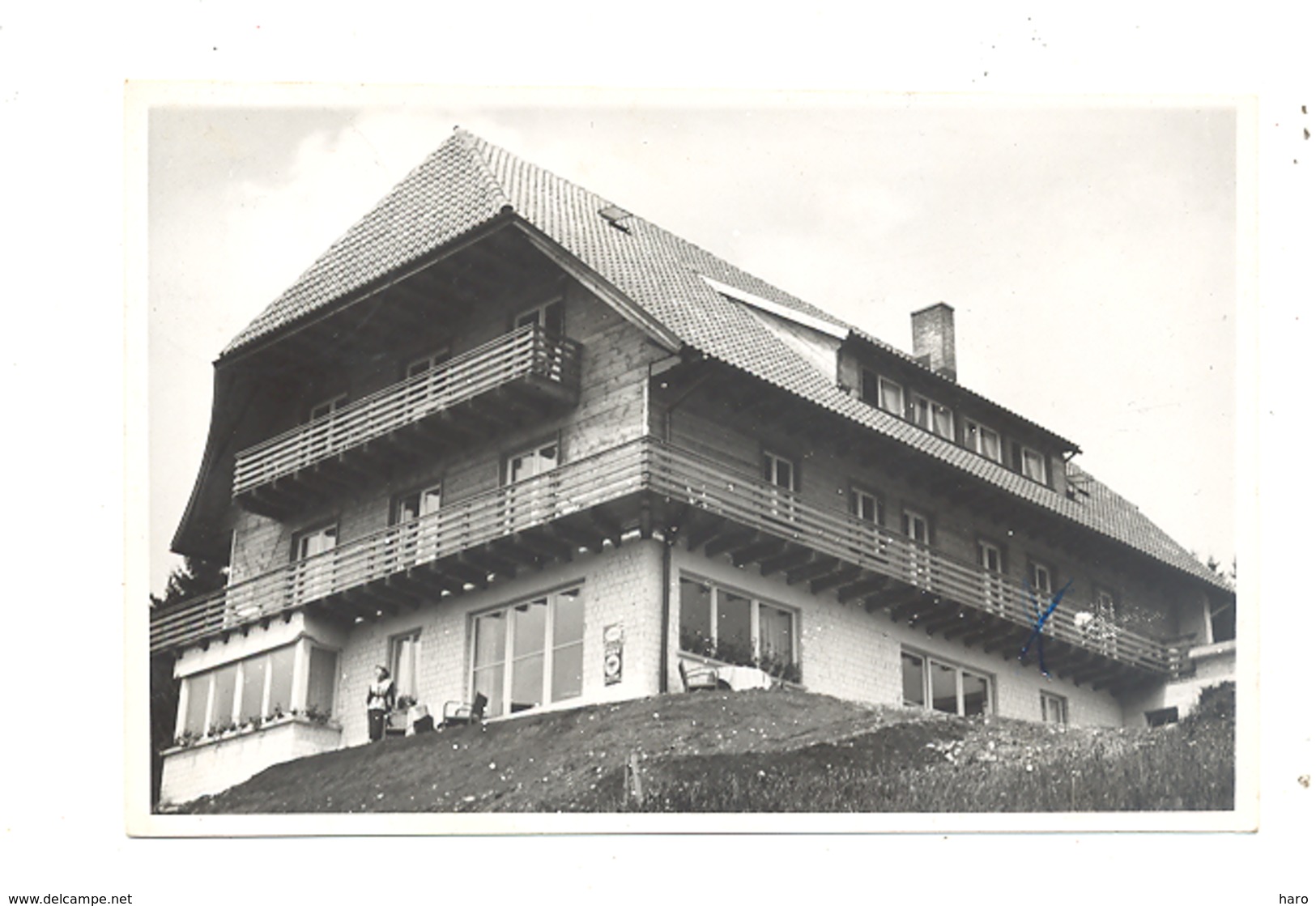 Hotel " Sonnenhof" HINTERZARTEN - 1955 - Foto Karte (pog) - Hinterzarten