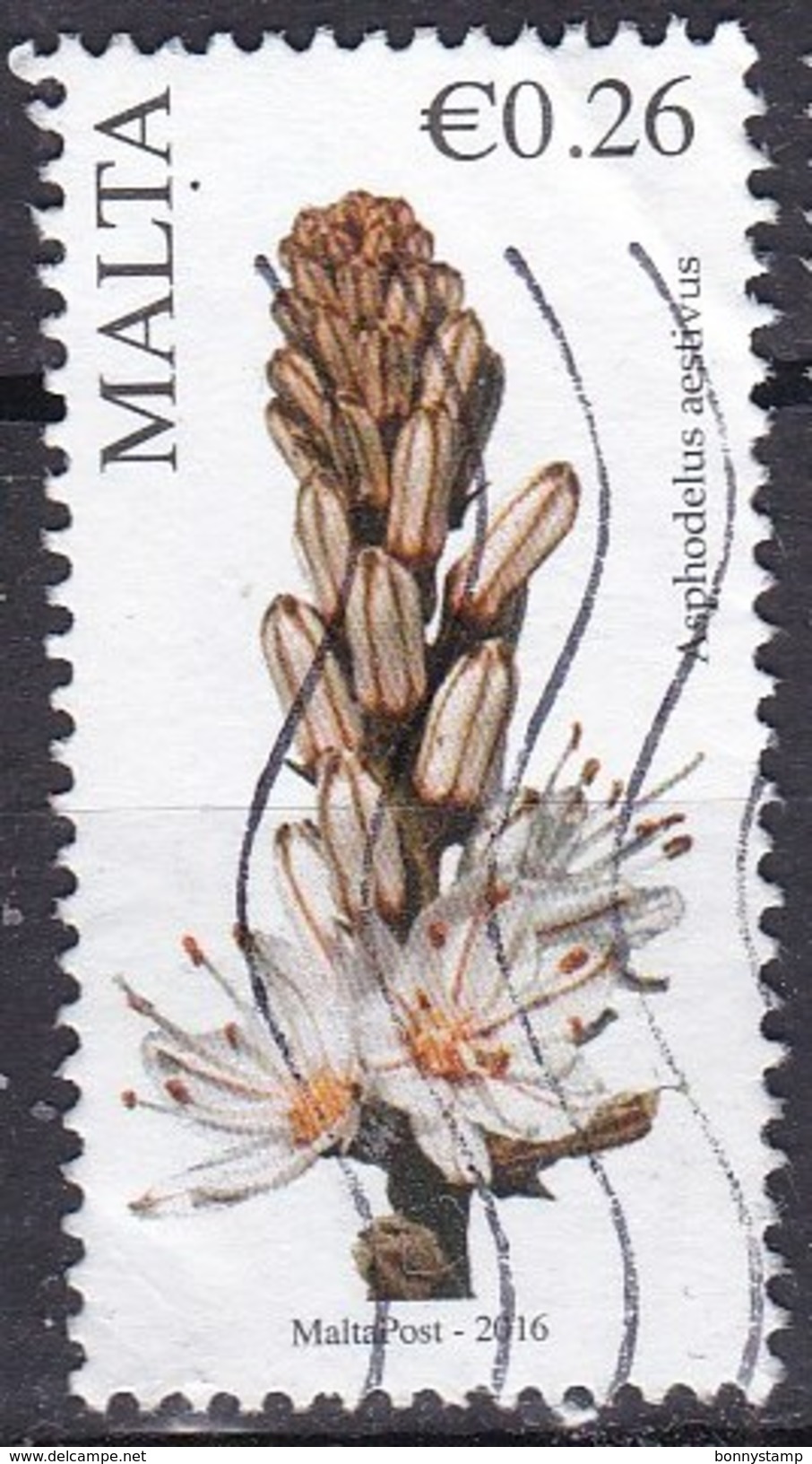 Malta, 2016 - 26c Asphodelus Aestivus - Nr.1555 Usato° - Malta