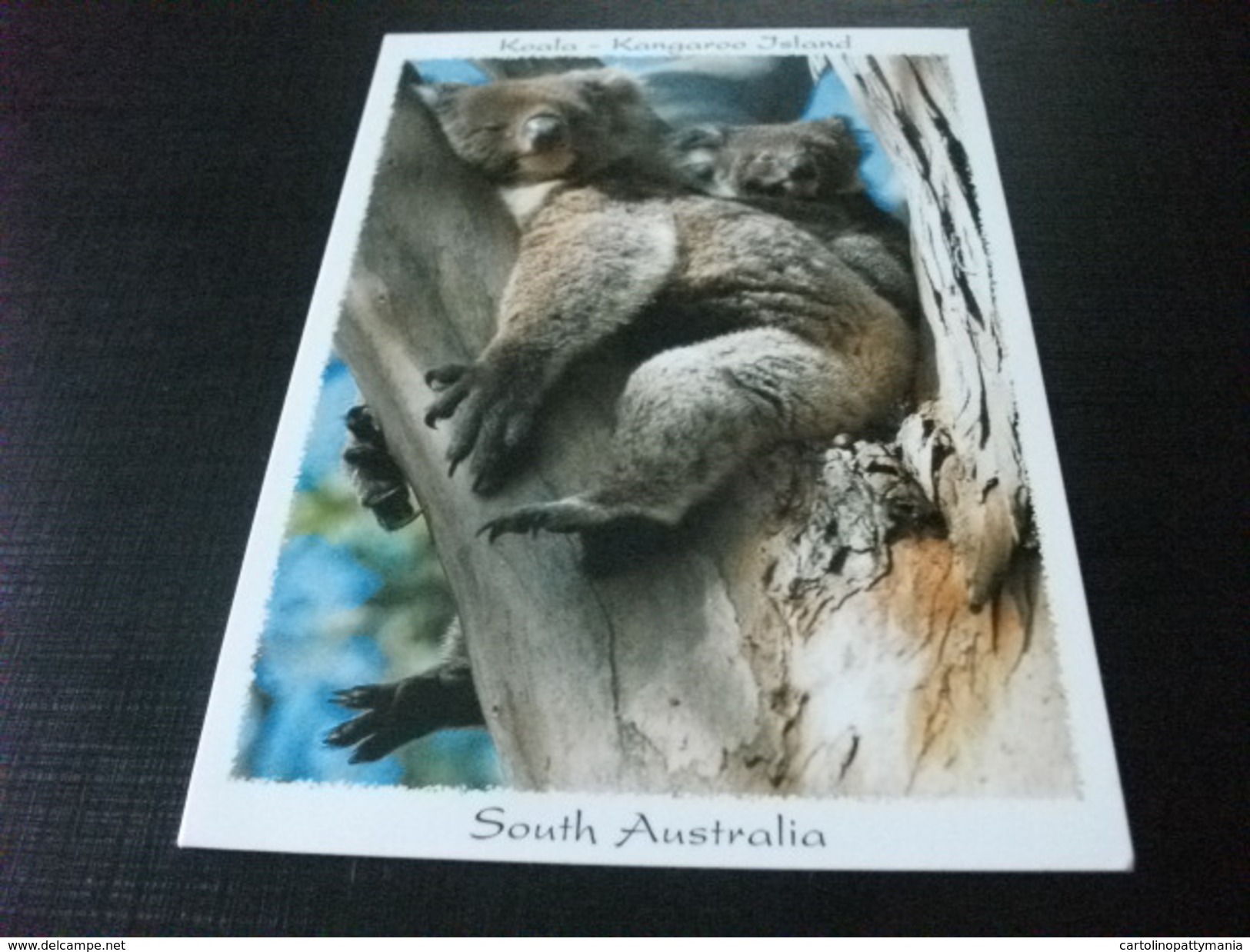 STORIA POSTALE FRANCOBOLLO COMMEMORATIVO  AUSTRALIA  KANGAROO ISLAND   KOALA - Altri & Non Classificati