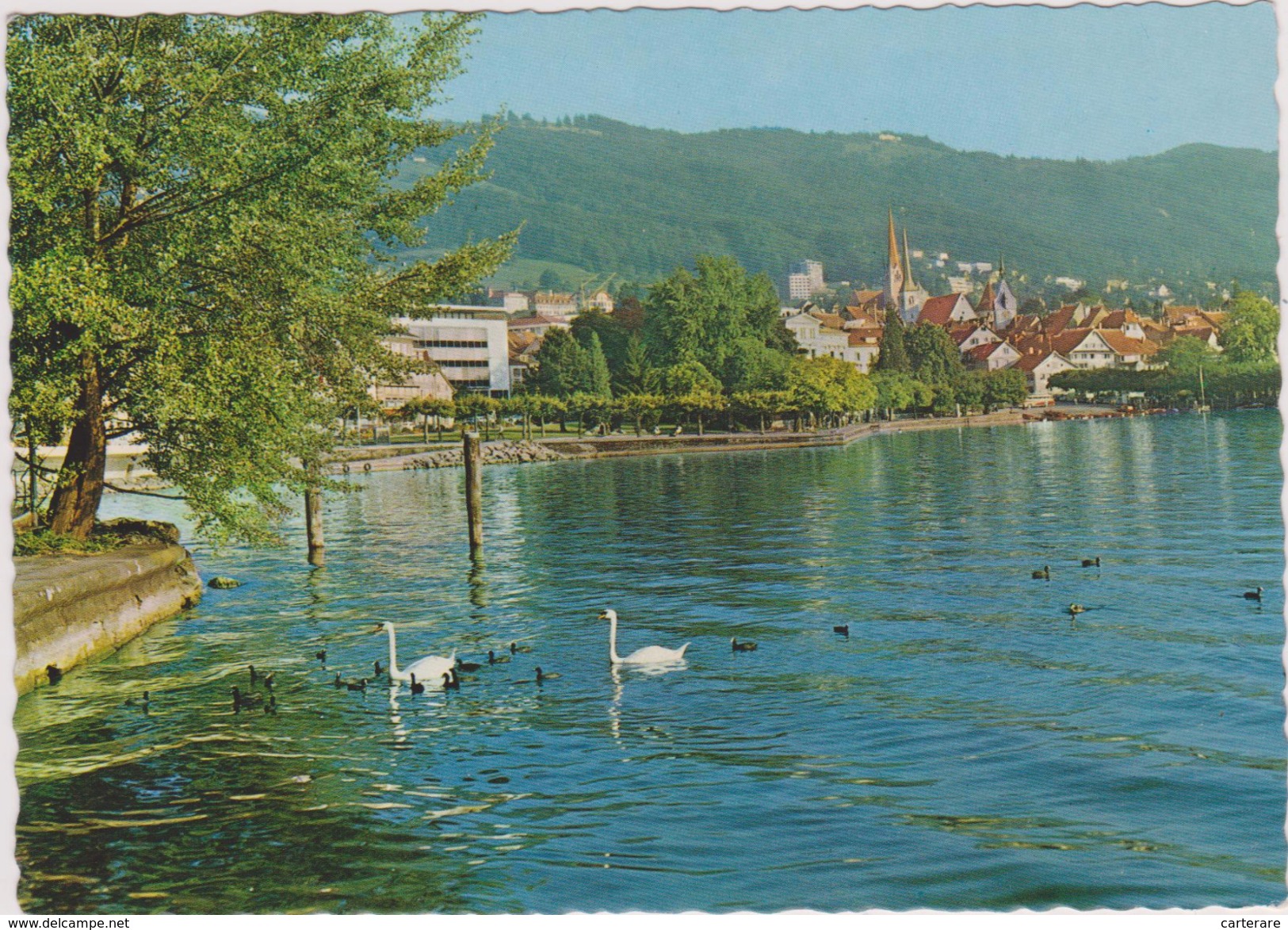 SUISSE,HELVETIA,SWISS,SWI TZERLAND,SVIZZERA,SCHWEIZ ,ZOUG,ZUG,VILLAGE,LAC - Zoug