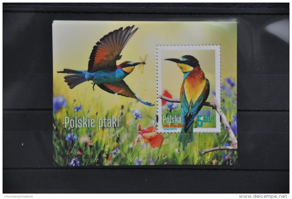 N 279 ++ POLAND 2014 SERIE VOGELS BIRDS OISEAUX MNH ** - Other & Unclassified