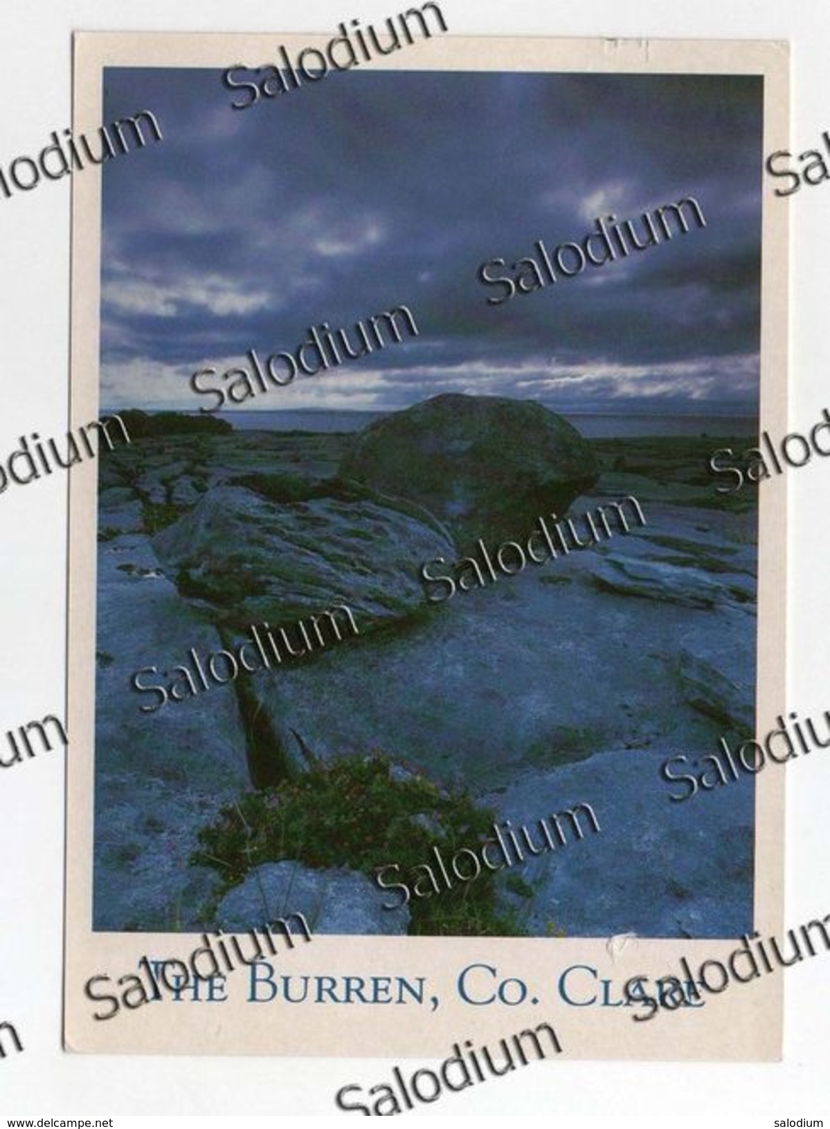 2000 - Eire Ireland Irlanda - Sotia Postale - Uccello Bird - Collect Postage - The Burren - Storia Postale