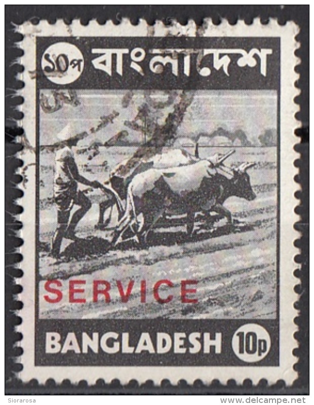 O17 Banglades 1976 (R) Farmer Contadino Buoi Perf. 14 E 1/2 X 15 Overprint SERVICE Used - Bangladesh