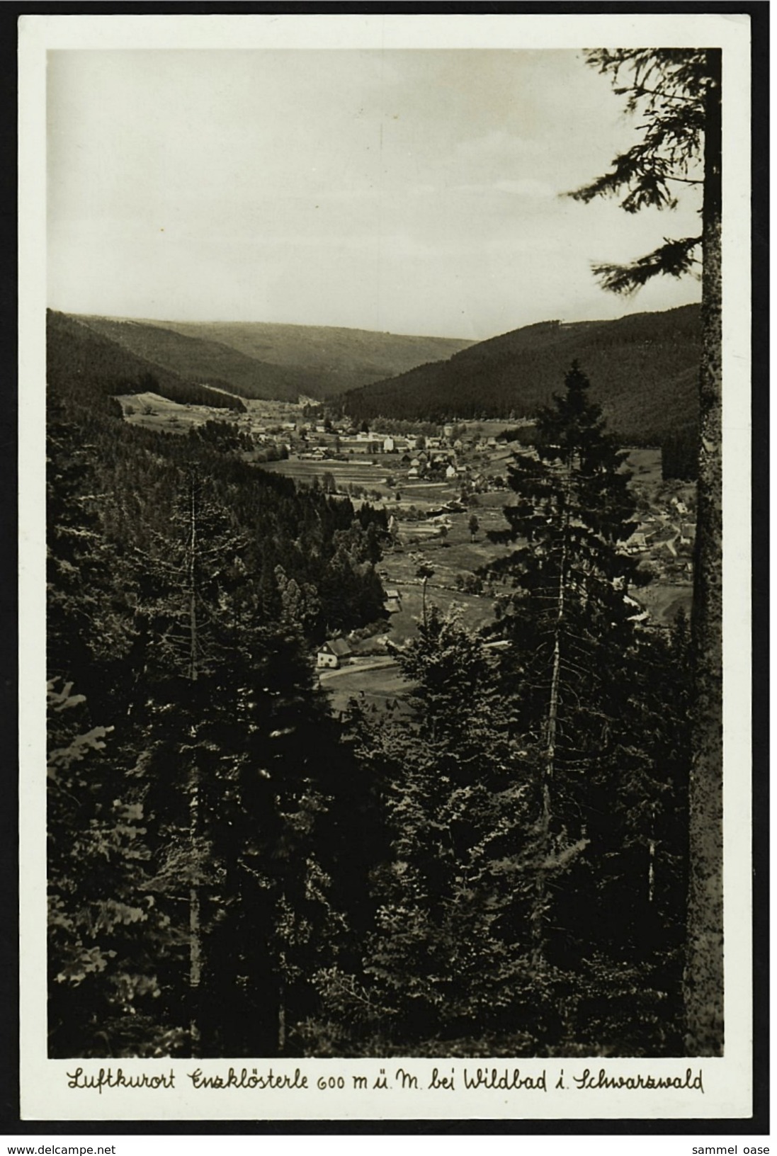 Enzklösterle  - Luftkurort Bei Bad Wildbad  Schwarzwald  -  Ca.1952    (7166) - Altensteig