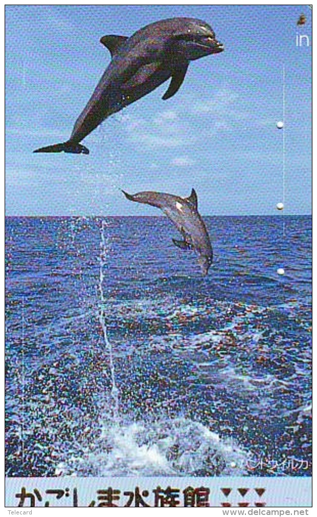 Carte Prépayée  Japon  * DAUPHIN * DOLPHIN (917) Japan PREPAID CARD * DELPHIN * GOLFINO * DOLFIJN * - Delfines