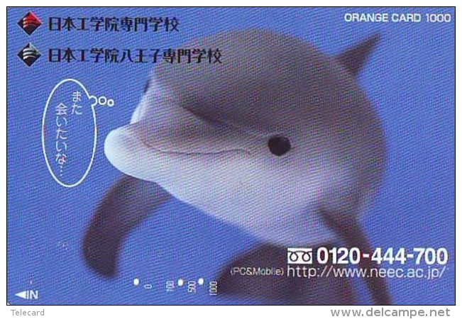 Télécarte Japon * DAUPHIN * DOLPHIN (945)  Japan () Phonecard * DELPHIN * GOLFINO * DOLFIJN * - Delfines