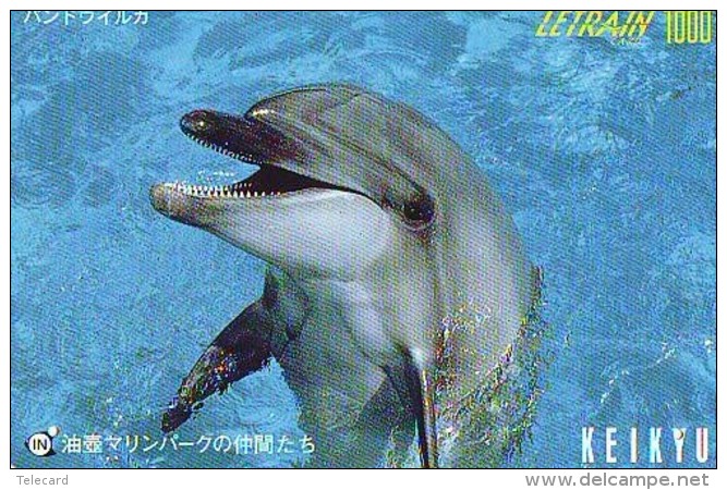 Télécarte Japon * DAUPHIN * DOLPHIN (946)  Japan () Phonecard * DELPHIN * GOLFINO * DOLFIJN * - Dolphins