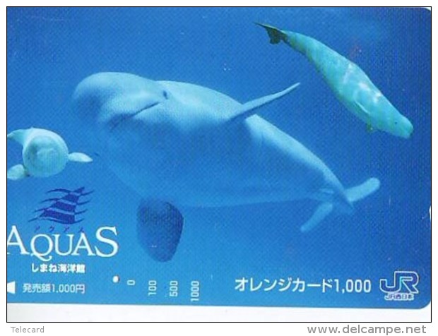 Télécarte Japon * DAUPHIN * DOLPHIN (951)  Japan () Phonecard * DELPHIN * GOLFINO * DOLFIJN * - Delfines