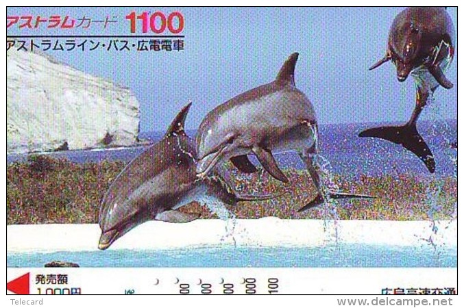 Télécarte Japon * DAUPHIN * DOLPHIN (952)  Japan () Phonecard * DELPHIN * GOLFINO * DOLFIJN * - Dauphins