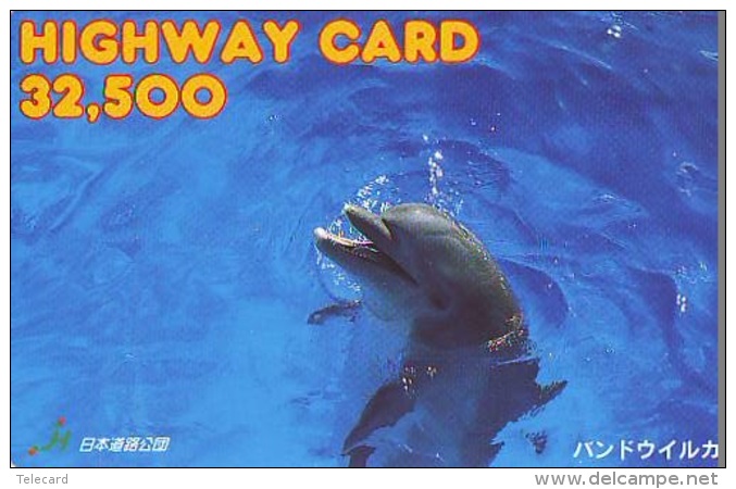 Télécarte Japon * DAUPHIN * DOLPHIN (955)  Japan () Phonecard * DELPHIN * GOLFINO * DOLFIJN * - Delfines